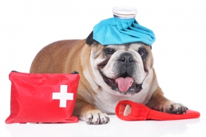 Konya - Meram Acil Müdahaleler ve Acil Servis